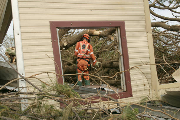 Best Fruit Tree Pruning  in Los Molinos, CA